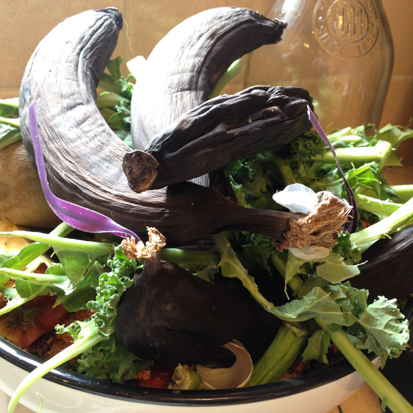 1) Worm FOOD!