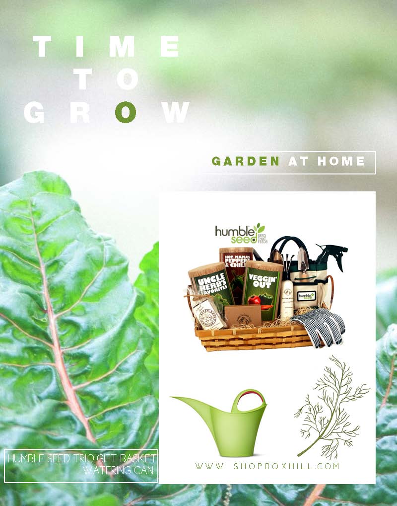 TIMETOGROW3-story