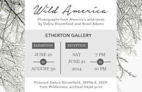 Etherton Gallery Wild America